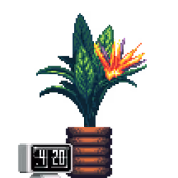 Bird of Paradise in Rings pot with Flip Clock
