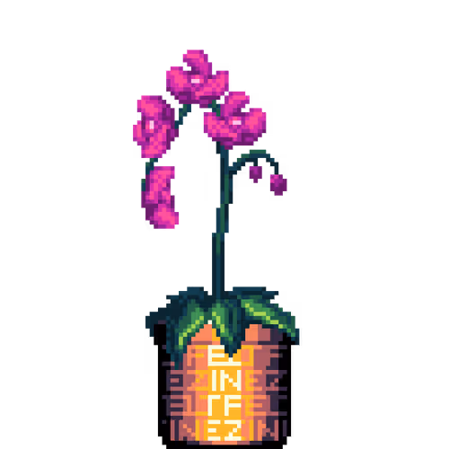 House Plants By Felt Zine
