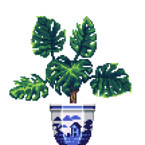 Monstera in Porcelain pot