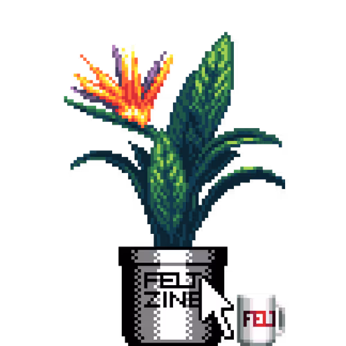 House Plants By Felt Zine