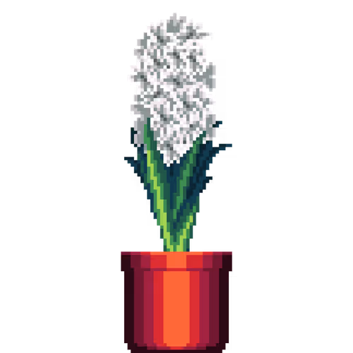 House Plants By Felt Zine
