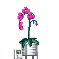 Purple Orchid in White Rattan pot with Gameboy