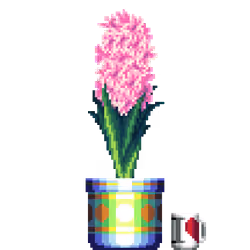 Pink Hyacinth in Large Premium Pattern pot with I Love NY Mug