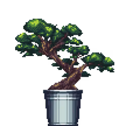 Juniper Bonsai in Steel Bucket pot