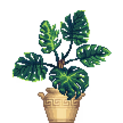 Monstera in Greek Vase pot