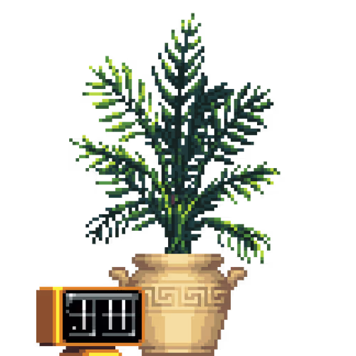 House Plants By Felt Zine