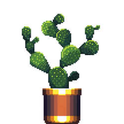 Bunny Ears Cactus in Large Dual Tone pot