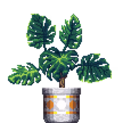Monstera in Large Pattern pot