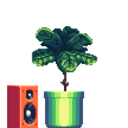 Fiddle-Leaf Fig in Large Neon pot with Speaker