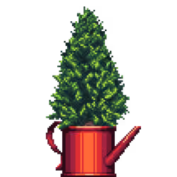 Cedar Pine in Watering Can pot