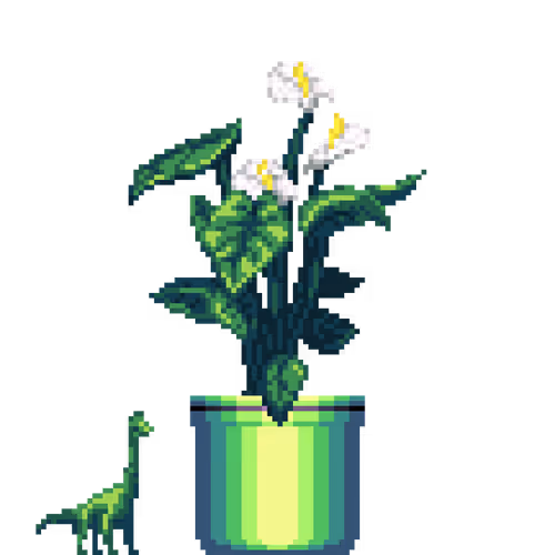 House Plants By Felt Zine