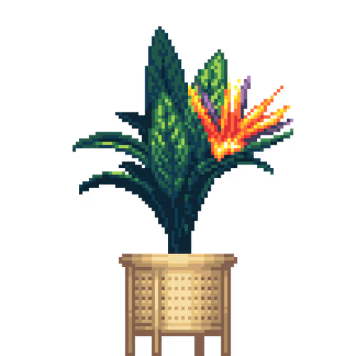 House Plants By Felt Zine