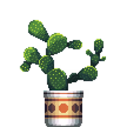 Bunny Ears Cactus in Large Premium Pattern pot
