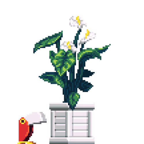 House Plants By Felt Zine