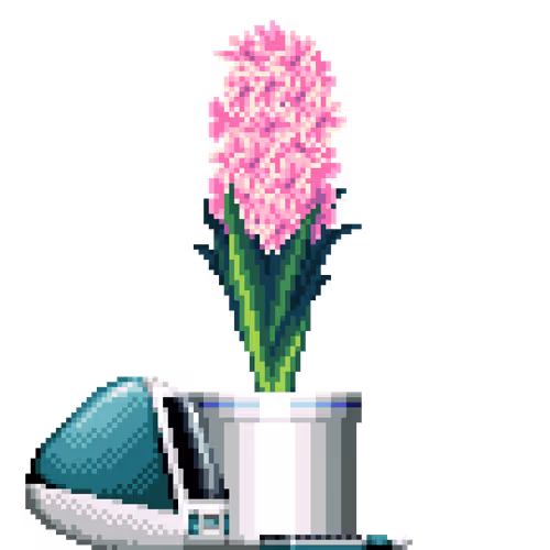 House Plants By Felt Zine