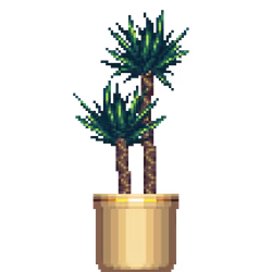 Yucca Palm in Large Pinstripe pot
