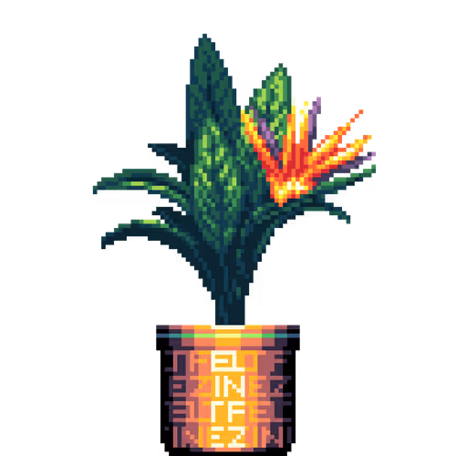 House Plants By Felt Zine