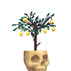 Lemon Tree in Bone Skull pot