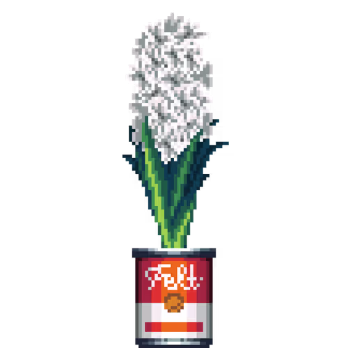 House Plants By Felt Zine