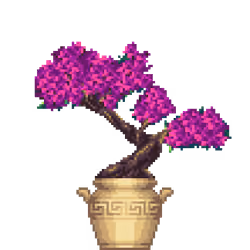 Azalea Bonsai in Greek Vase pot