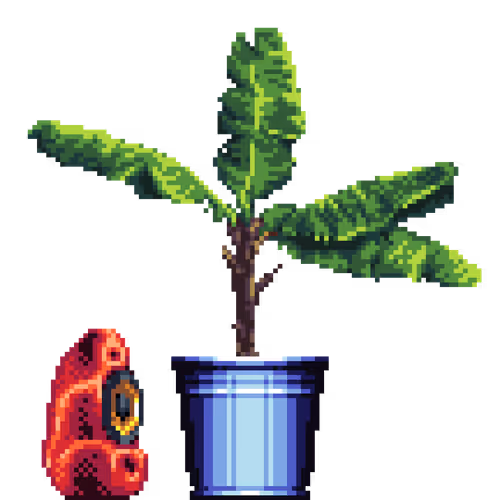 House Plants By Felt Zine