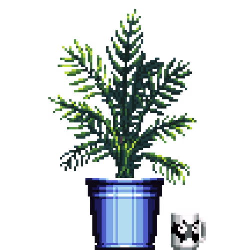 House Plants By Felt Zine
