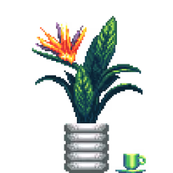 Bird of Paradise in Rings pot with Demitasse
