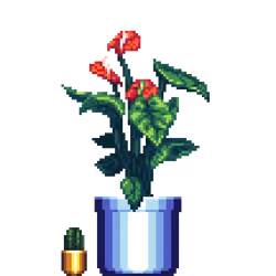 Red Anthurium in Large Blue pot with Mini Barrel Cactus