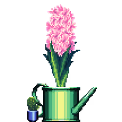 Pink Hyacinth in Watering Can pot with Mini Prickly Pear Cactus