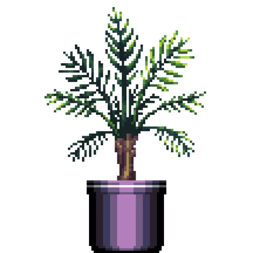 House Plants By Felt Zine
