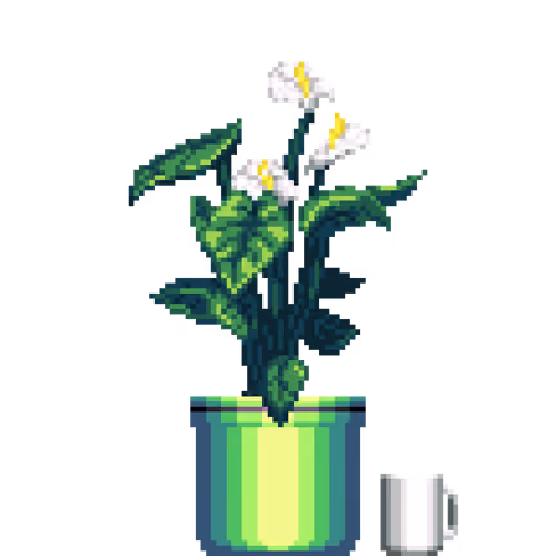 White Anthurium in Large Pinstripe pot with Coffee Mug