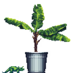 Banana Tree in Steel Bucket pot with Toy Dinosaur