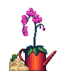 Purple Orchid in Watering Can pot with Mini Sneaker Planter