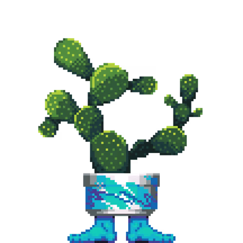 Bunny Ears Cactus in Jazz Feet pot