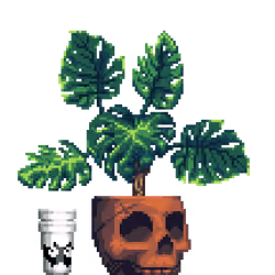 Monstera in Clay Skull pot with Myk Double Cup