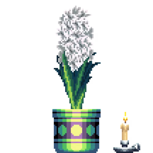 White Hyacinth in Large Premium Pattern pot with Candle