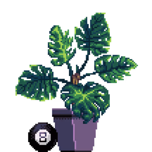 House Plants By Felt Zine