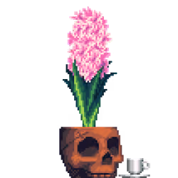 Pink Hyacinth in Clay Skull pot with Demitasse