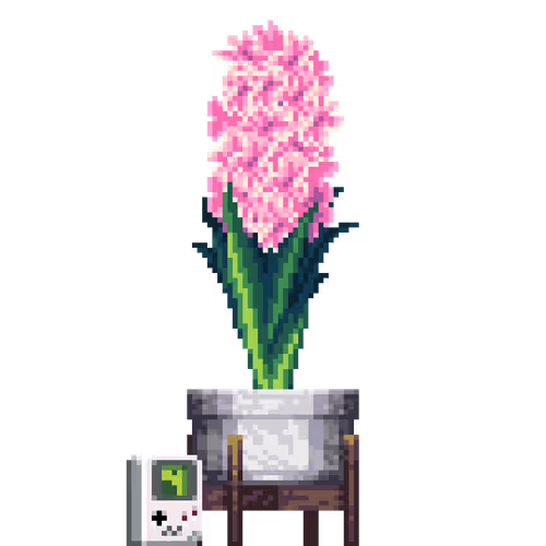 House Plants By Felt Zine