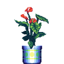 Red Anthurium in Large Pattern pot