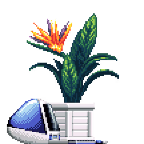 House Plants By Felt Zine