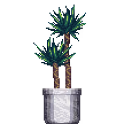 Yucca Palm in Large Marble pot