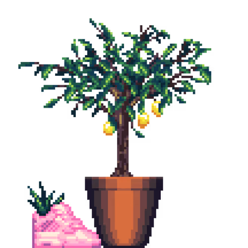 House Plants By Felt Zine