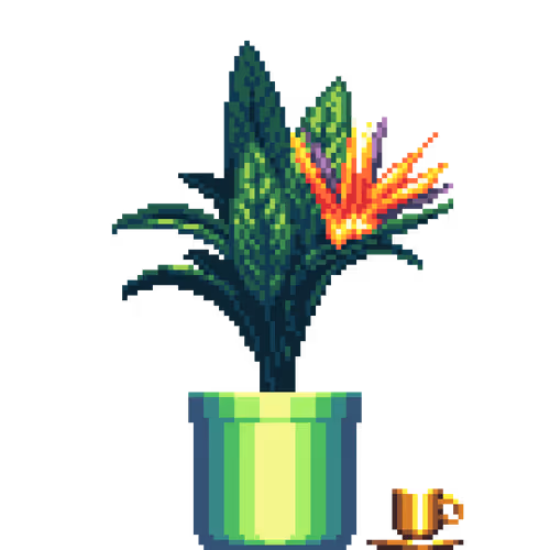 House Plants By Felt Zine