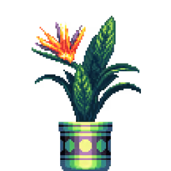 Bird of Paradise in Large Premium Pattern pot