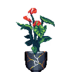 Red Anthurium in Kintsugi pot