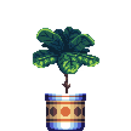 House Plants By Felt Zine