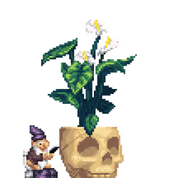 White Anthurium in Bone Skull pot with Toilet Gnome
