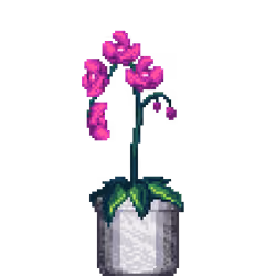 Purple Orchid in Large Marble pot