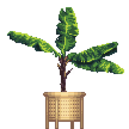 House Plants By Felt Zine